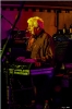 engerling (06)